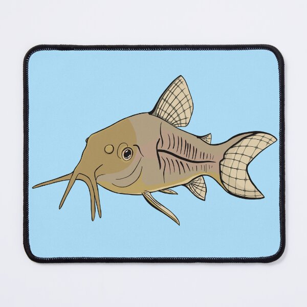 Item preview, Bronze Corydoras Catfish designed and sold by Kaytertrib.