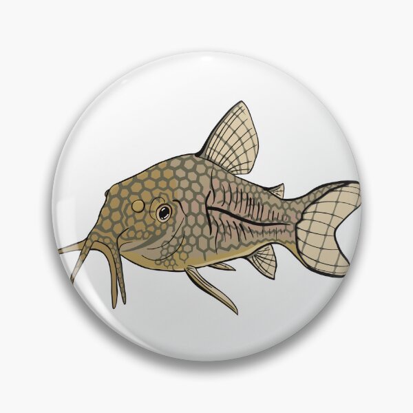 Artikelvorschau, Sterbai Corydoras Wels entworfen und verkauft von Kaytertrib.