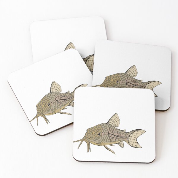 Item preview, Sterbai Corydoras Catfish designed and sold by Kaytertrib.