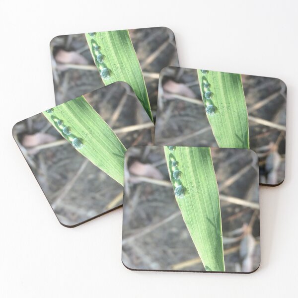 Item preview, Droplets on a leaf, no filter photograph designed and sold by GiSilver.