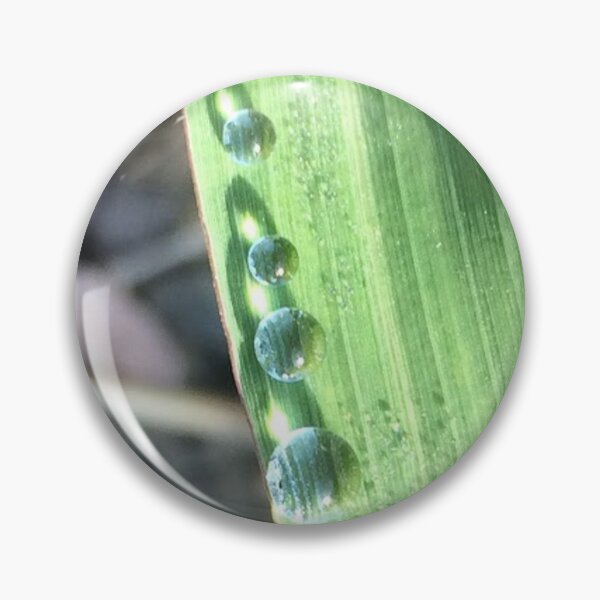 Item preview, Droplets on a leaf, no filter photograph designed and sold by GiSilver.