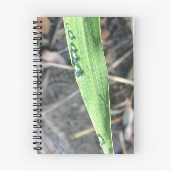 Item preview, Droplets on a leaf, no filter photograph designed and sold by GiSilver.