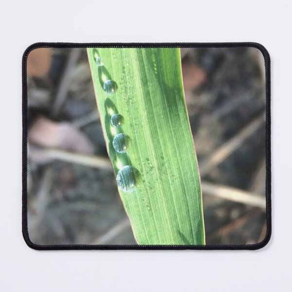 Item preview, Droplets on a leaf, no filter photograph designed and sold by GiSilver.