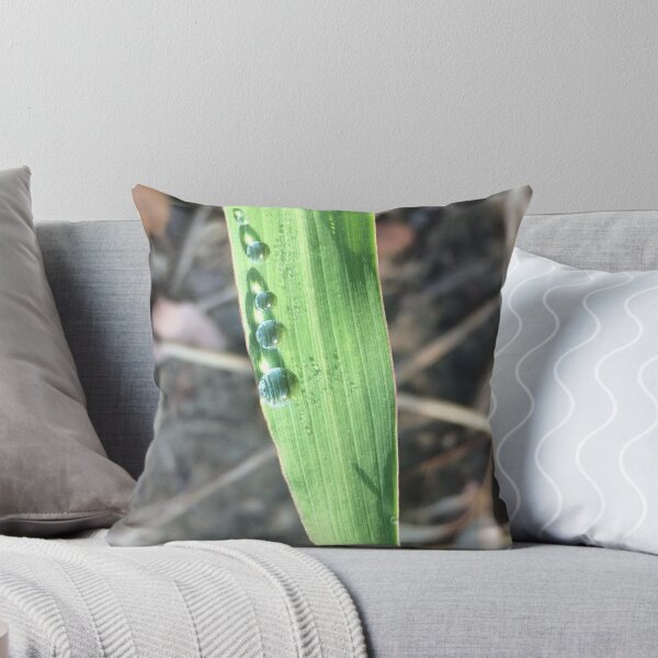Item preview, Droplets on a leaf, no filter photograph designed and sold by GiSilver.