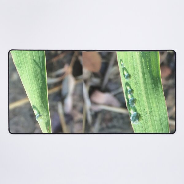Item preview, Droplets on a leaf, no filter photograph designed and sold by GiSilver.