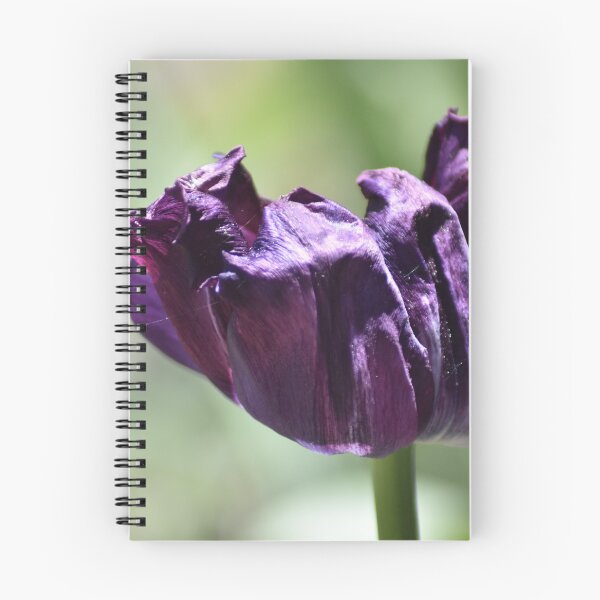 Item preview, Dark Purple Tulip Close Up Photography designed and sold by TathataPhotos.