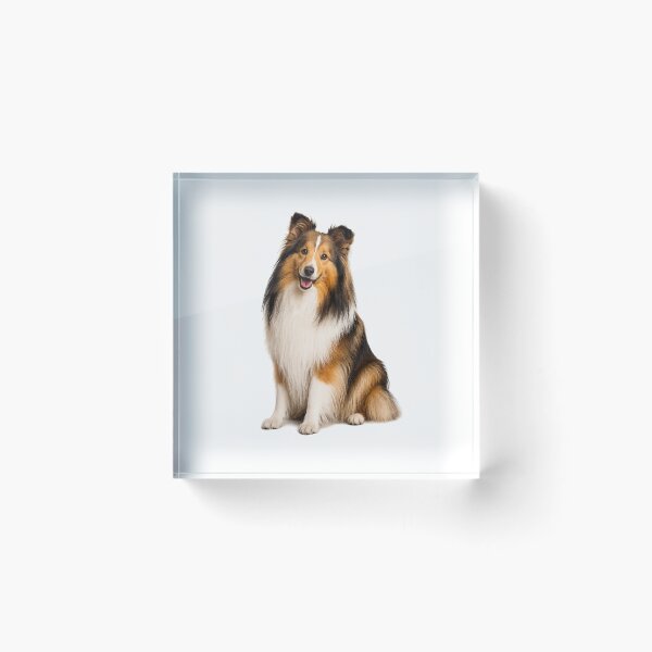 Item preview, Shetland Sheepdog designed and sold by BackgroundND.