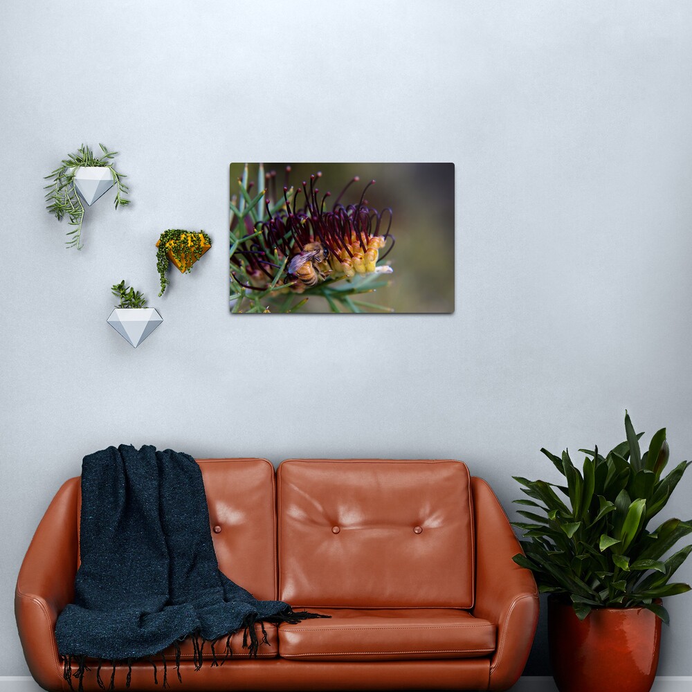 Bee on prikly toothbrushes Metal Print