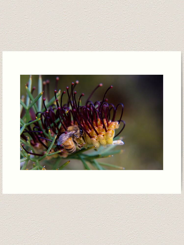 Alternate view of Bee on prikly toothbrushes Art Print