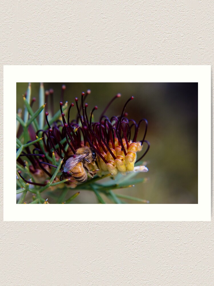 Alternate view of Bee on prikly toothbrushes Art Print