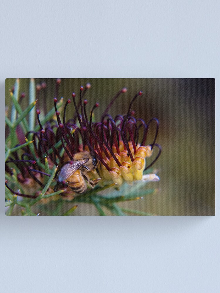 Alternate view of Bee on prikly toothbrushes Canvas Print