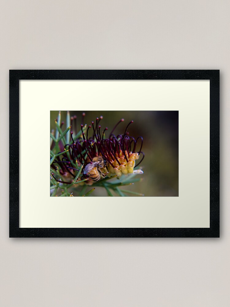 Alternate view of Bee on prikly toothbrushes Framed Art Print