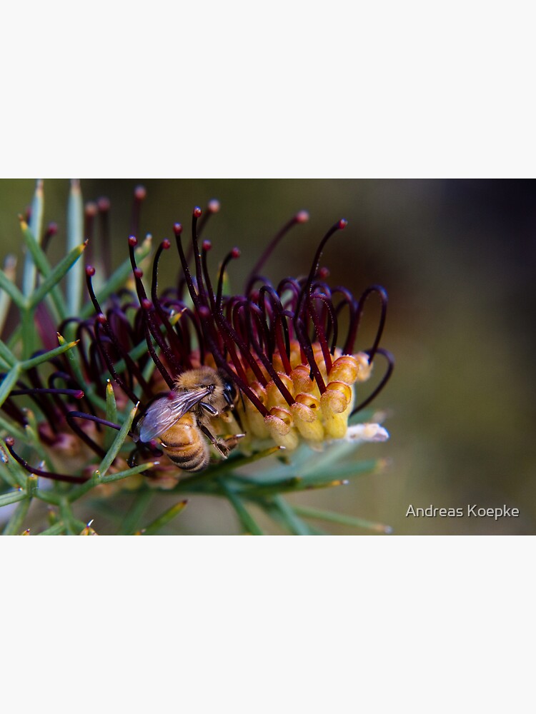 Bee on prikly toothbrushes by mistered