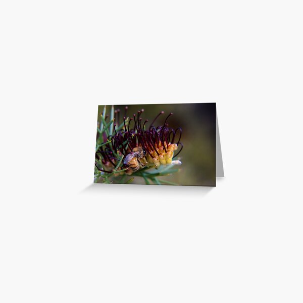 Bee on prikly toothbrushes Greeting Card