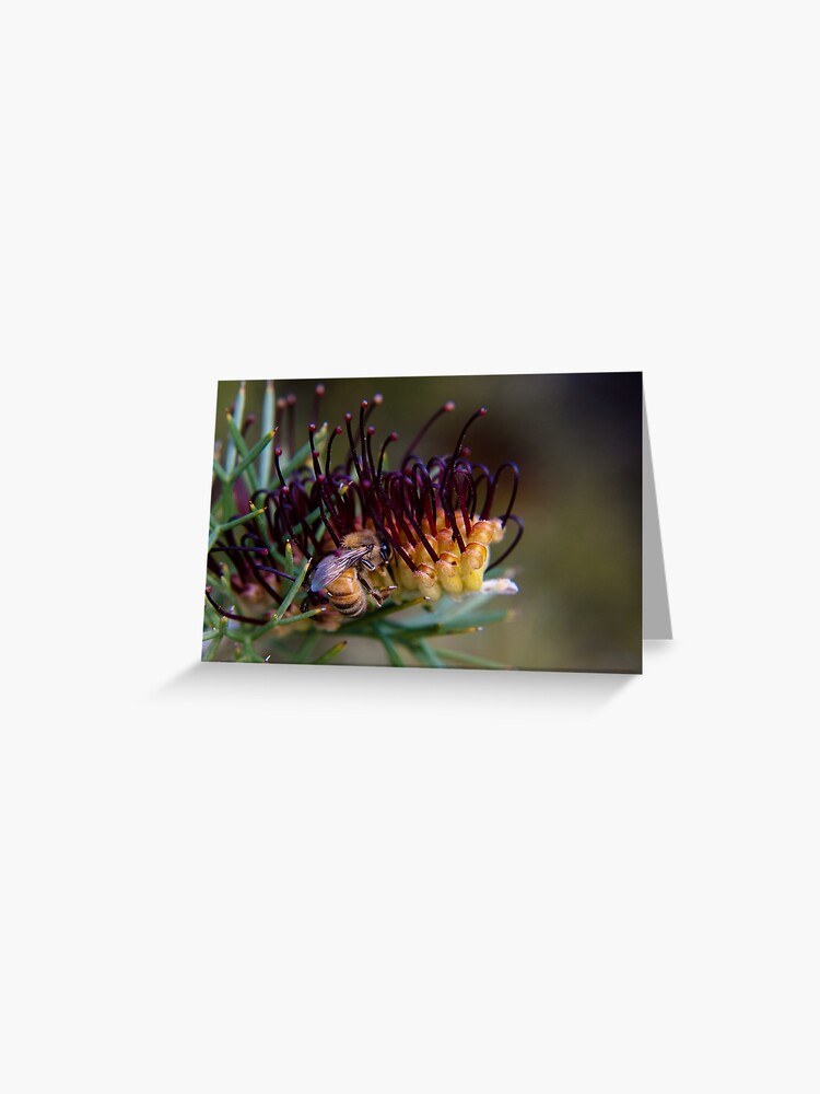 Thumbnail 1 of 2, Greeting Card, Bee on prikly toothbrushes designed and sold by mistered.