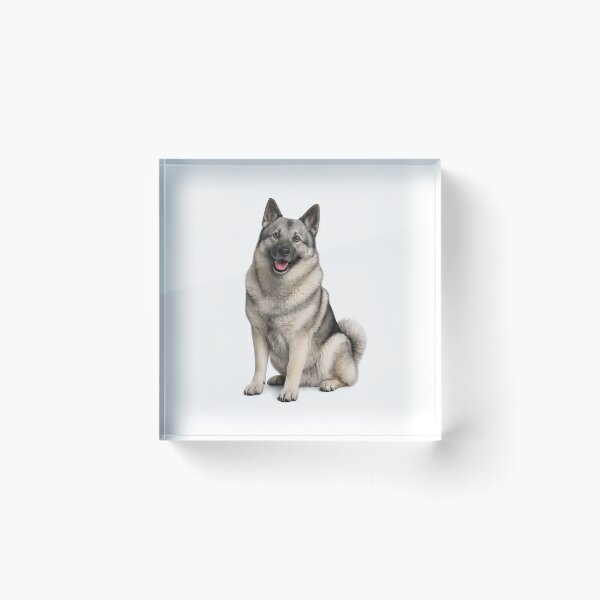 Item preview, Norwegian Elkhound Dog designed and sold by BackgroundND.
