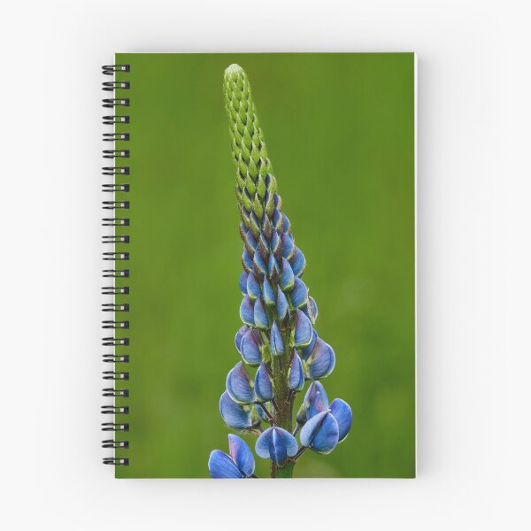 Item preview, Stunning Lupine designed and sold by Eidetic Photos.