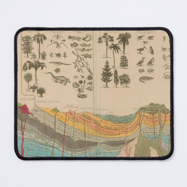 Item preview, Geology Chart Cross Section Wall Art Print | Merges Geology & History of Life on Earth Geological Science Education Gift designed and sold by codeslinger.