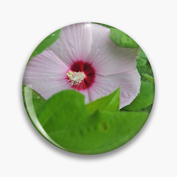 Item preview, Hidden Beauty designed and sold by Lunar Bound Imagery .