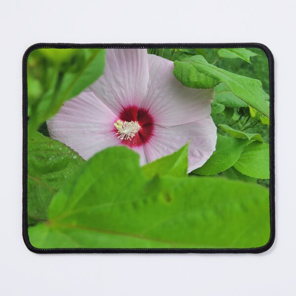 Item preview, Hidden Beauty designed and sold by Lunar Bound Imagery .