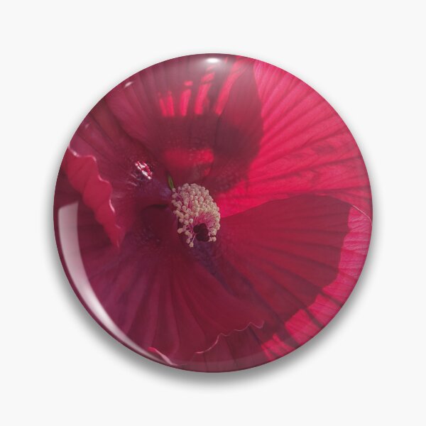 Item preview, Sunlight Blooms designed and sold by Lunar Bound Imagery .