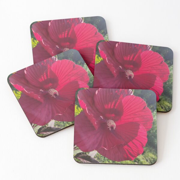 Item preview, Sunlight Blooms designed and sold by Lunar Bound Imagery .