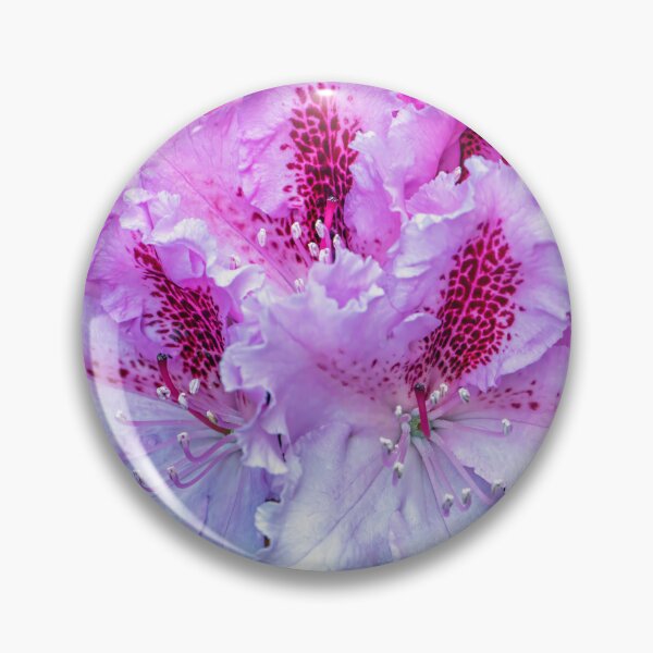 Item preview, A Rhododendron designed and sold by Tom McPherson Photography.