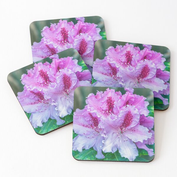 Item preview, A Rhododendron designed and sold by Tom McPherson Photography.