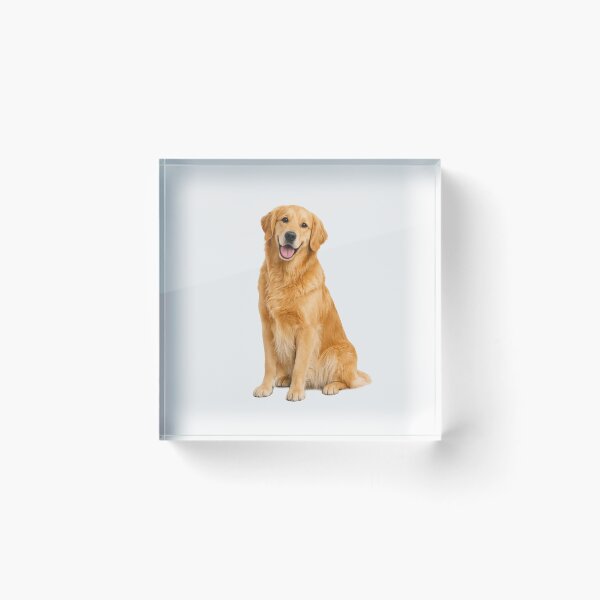 Item preview, Golden Retriever Dog designed and sold by BackgroundND.