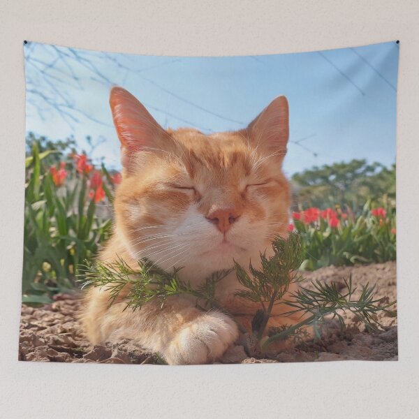 Item preview, Peaceful Orange Cat Resting in a Spring Garden – Cat Photography designed and sold by MB-CatPrints.