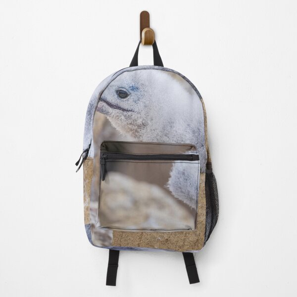 Item preview, Fluffy Albatross Chick Tests Its Wings designed and sold by PhotoArt by Joan Carroll.