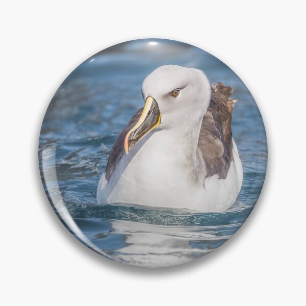Item preview, Gray-Headed Albatross Floating in Ocean designed and sold by PhotoArt by Joan Carroll.