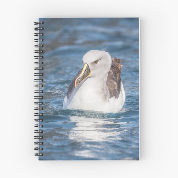 Item preview, Gray-Headed Albatross Floating in Ocean designed and sold by PhotoArt by Joan Carroll.