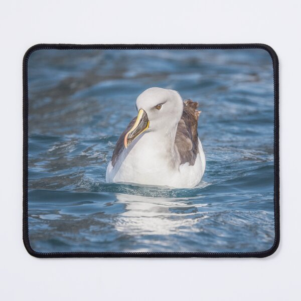Item preview, Gray-Headed Albatross Floating in Ocean designed and sold by PhotoArt by Joan Carroll.
