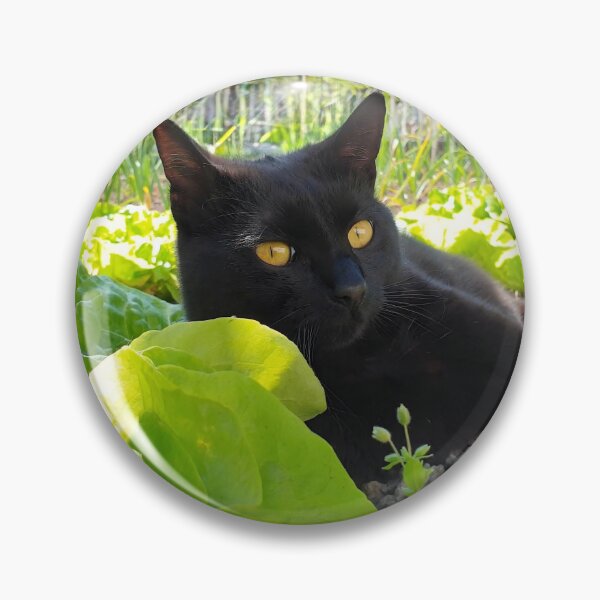 Item preview, Black Cat Resting Among Fresh Garden Greens – Cat Photography designed and sold by MB-CatPrints.