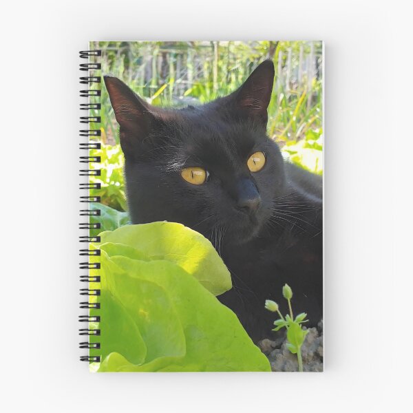 Item preview, Black Cat Resting Among Fresh Garden Greens – Cat Photography designed and sold by MB-CatPrints.
