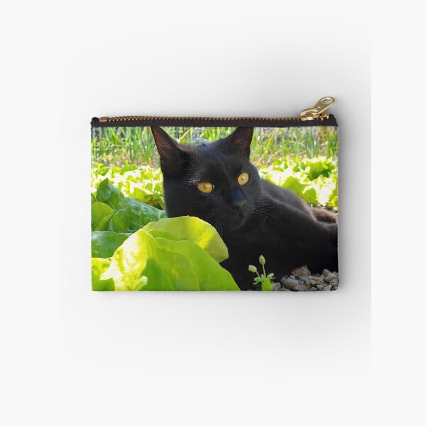 Item preview, Black Cat Resting Among Fresh Garden Greens – Cat Photography designed and sold by MB-CatPrints.