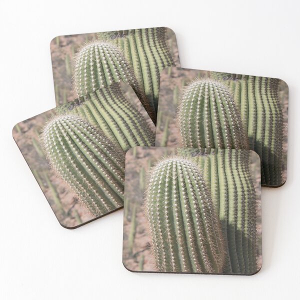 Item preview, Saguaro Spines designed and sold by CopperSkyPhoto.