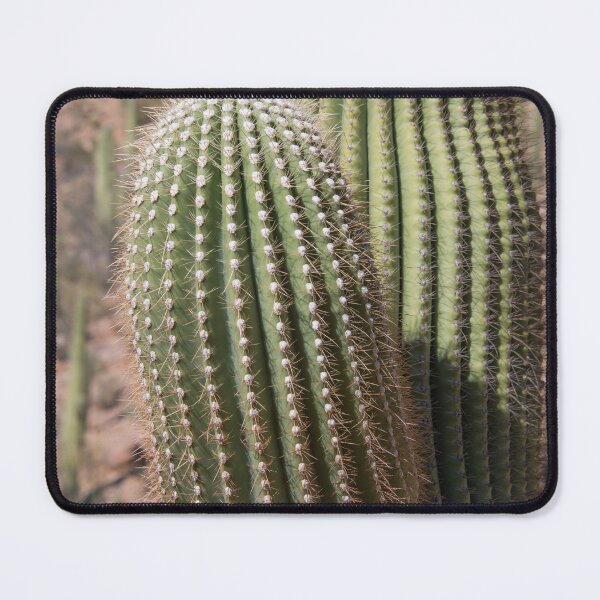 Item preview, Saguaro Spines designed and sold by CopperSkyPhoto.