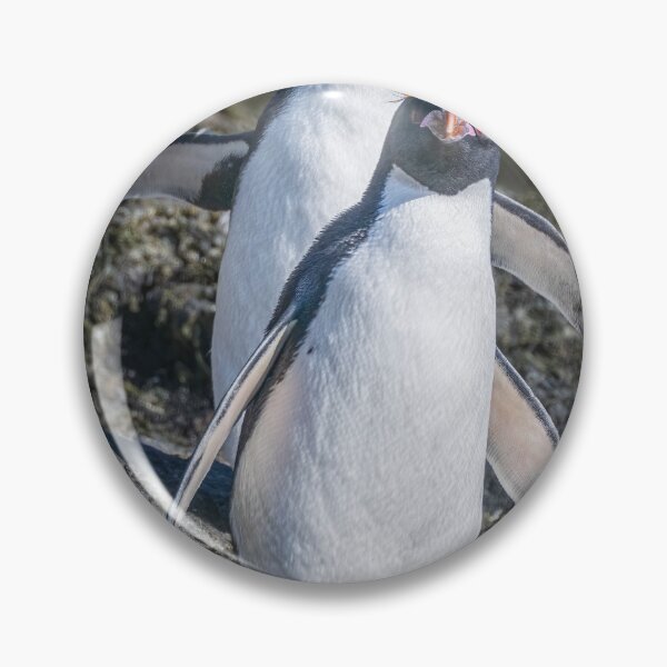 Item preview, Two Macaroni Penguins on Rocky Terrain Elsehul Bay designed and sold by PhotoArt by Joan Carroll.