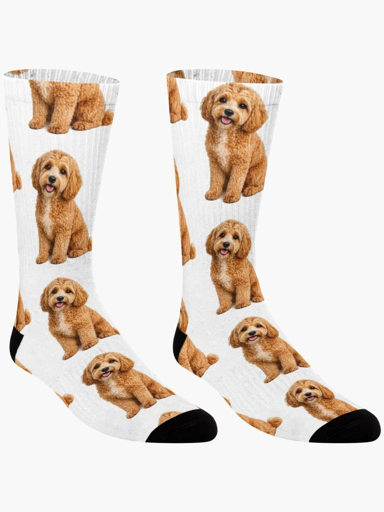 Thumbnail 3 of 5, Socks, Cockapoo Dog designed and sold by BackgroundND.