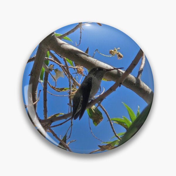 Item preview, Hummingbird  designed and sold by Courtney Croxall.