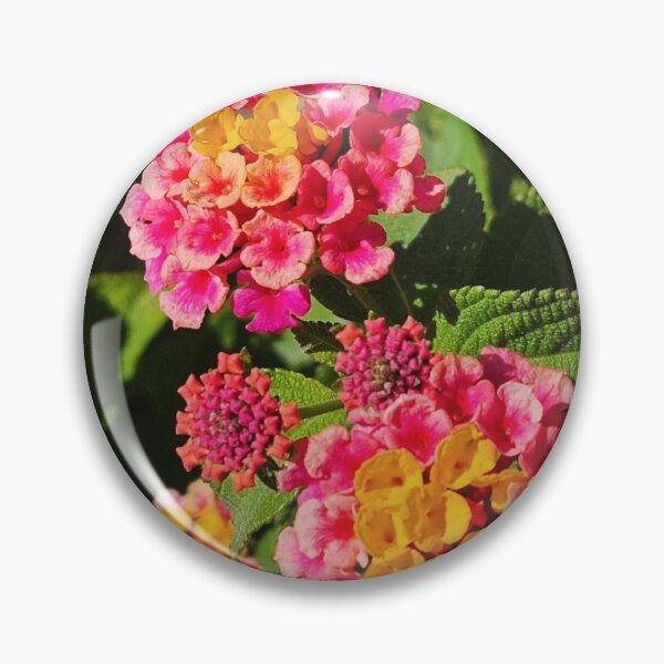 Item preview, Yellow and pinks designed and sold by Courtney Croxall.