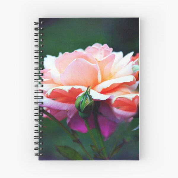 Item preview, Twilight Rose Bloom designed and sold by Jessica Jenney.
