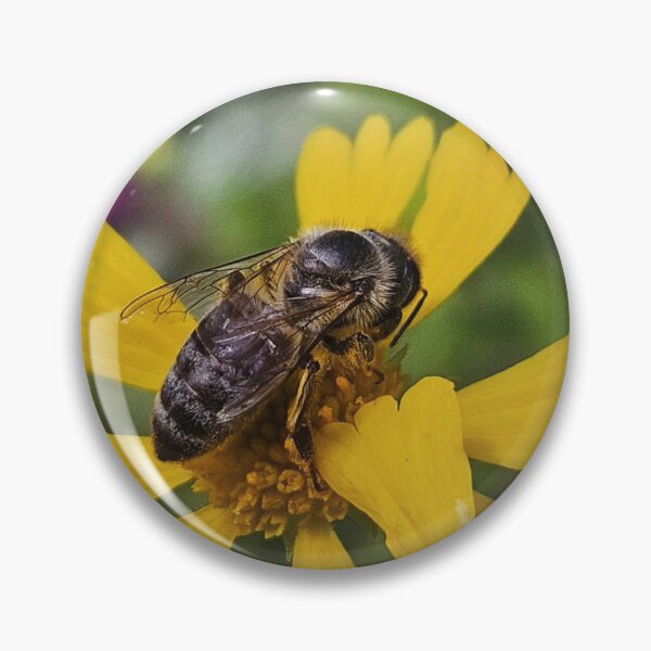 Item preview, Black bee designed and sold by Courtney Croxall.