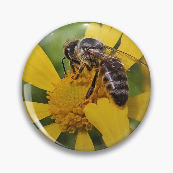 Item preview, Black bee designed and sold by Courtney Croxall.