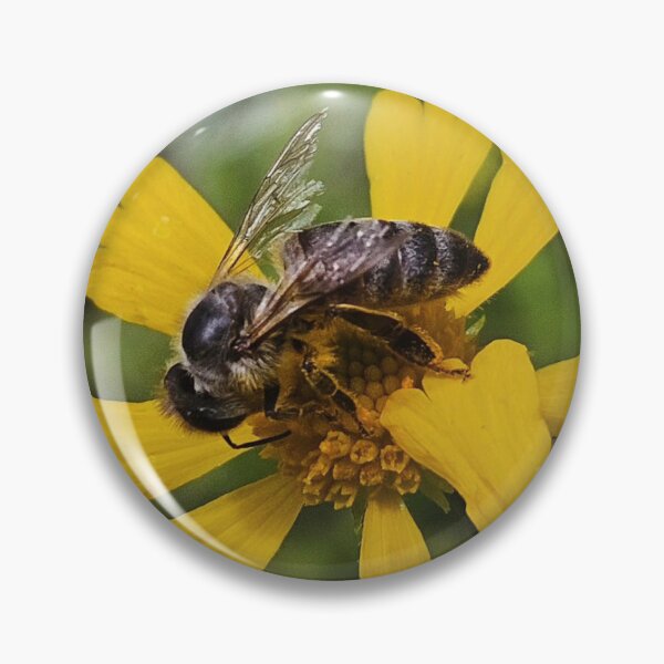 Item preview, Black bee designed and sold by Courtney Croxall.