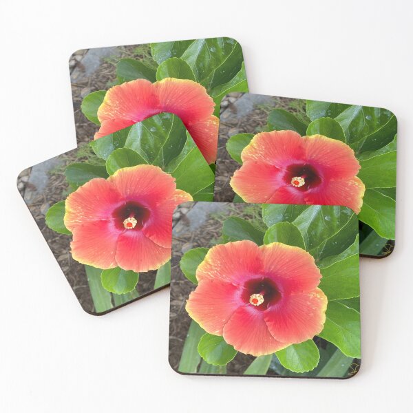 Item preview, Hibiscus flower designed and sold by Dunnette Imaging.