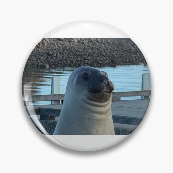 Item preview, Neil the seal designed and sold by Courtney Croxall.