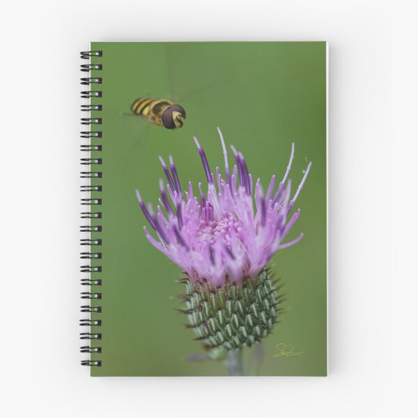 Item preview, Tall Thistle with Hoverfly designed and sold by Dunnette Imaging.